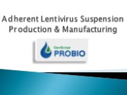Adherent Lentivirus Suspension Production & Manufacturing
