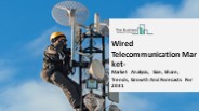 Wired Telecommunication Carriers Market 2022