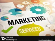 B2B Marketing Programs
