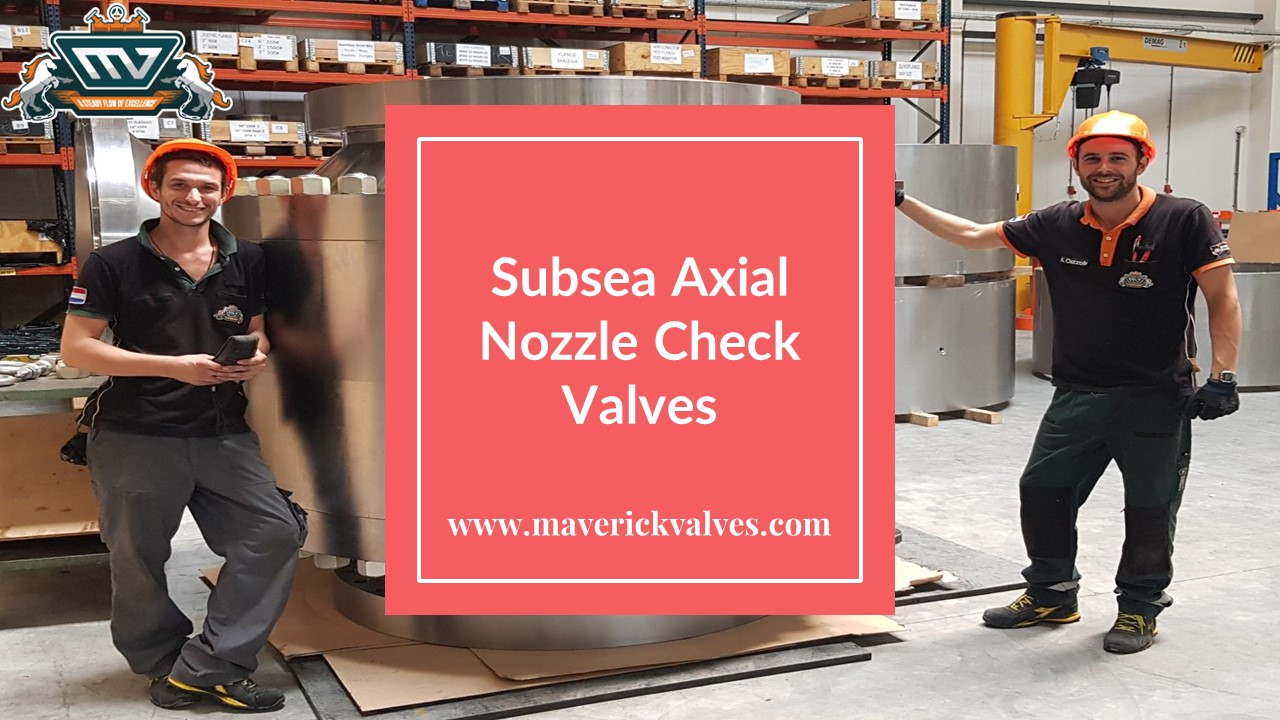 Subsea Axial Nozzle Check Valves