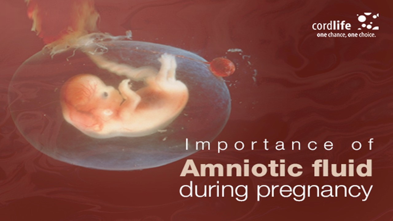 PPT Importance Of Amniotic Fluid During Pregnancy PowerPoint