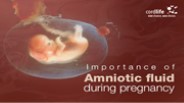 Importance Of Amniotic Fluid During Pregnancy
