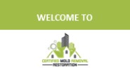 Water Damage - Certified Mold Removal Restoration