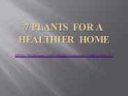7 Plants For a Healthier Home