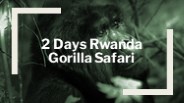 2 Days Rwanda Gorilla Safari