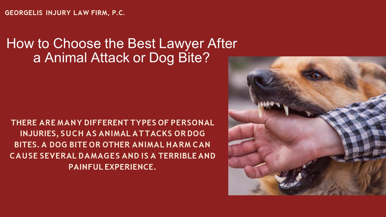 PPT How to Choose The Best Lawyer After an Animal Attack or Dog Bite