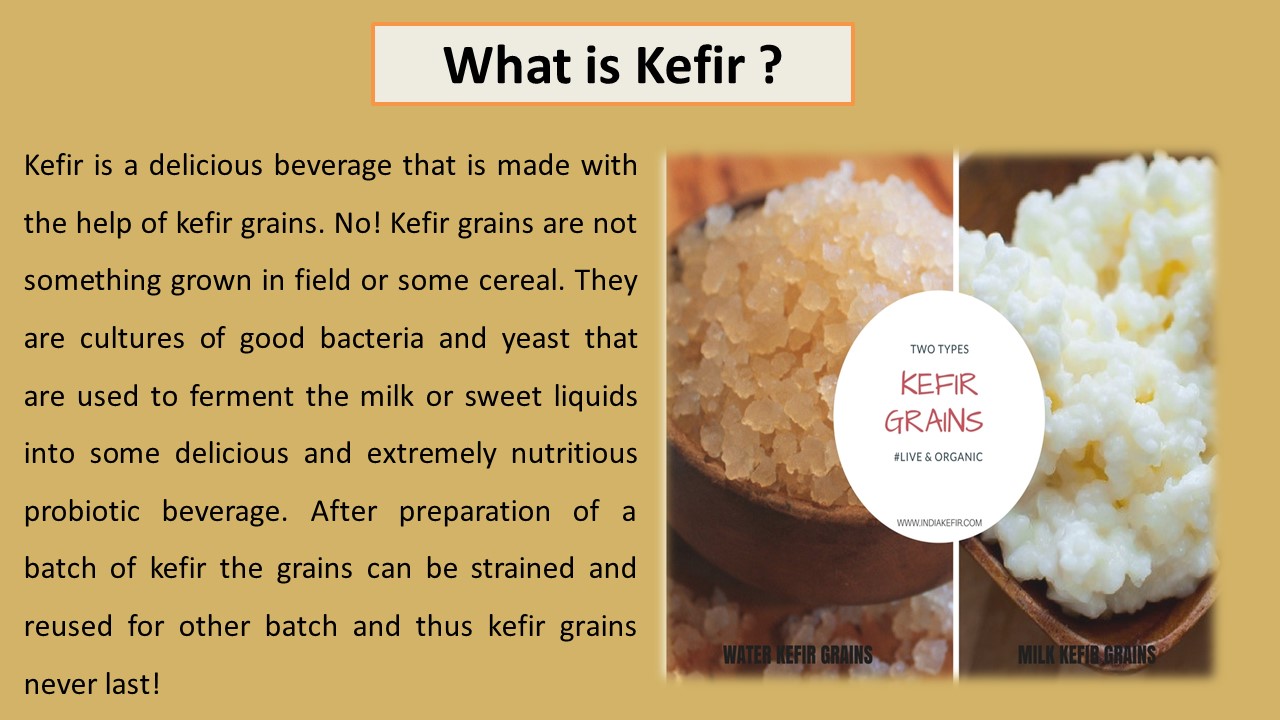 Milk Kefir in India (1)