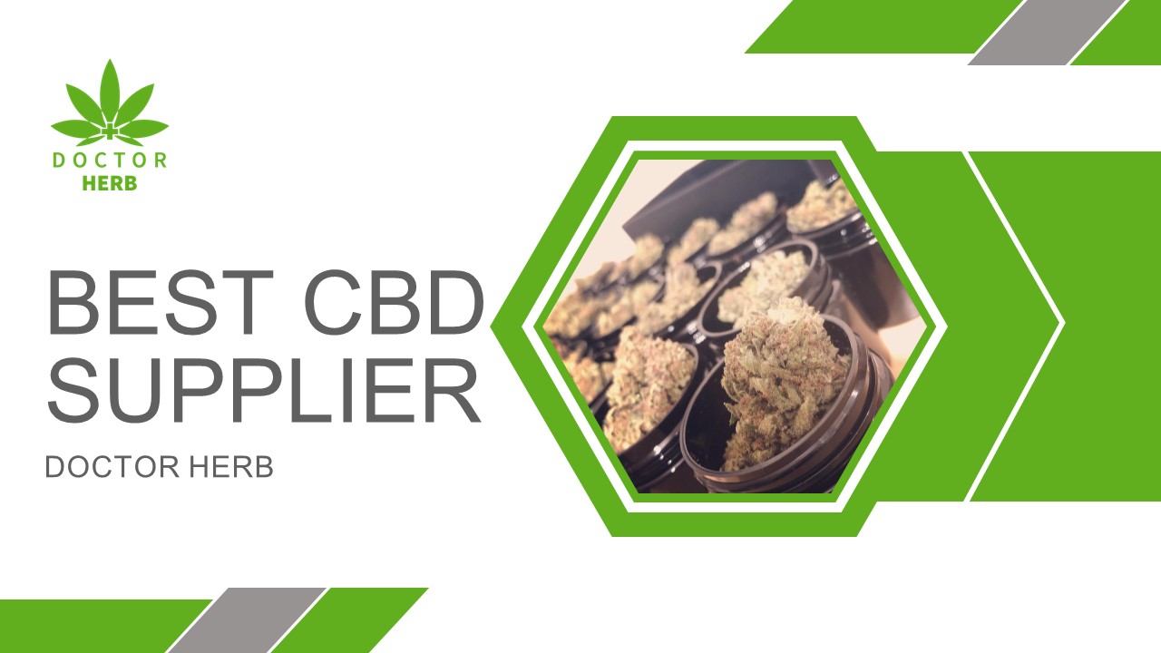 PPT Best CBD Supplier Doctor Herb PowerPoint presentation free to