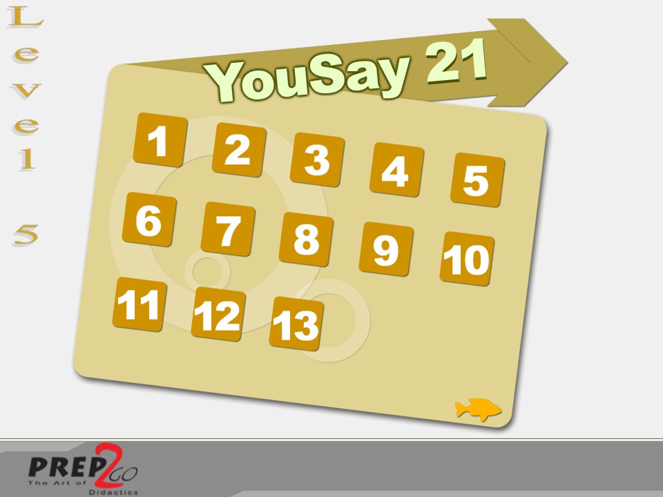 l5 ys21
