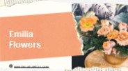 Flower Arrangements for Special Occasions 2