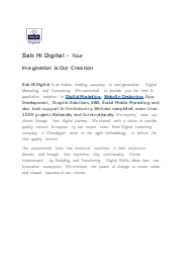 Best Digital Marketing Agency in Chandigarh