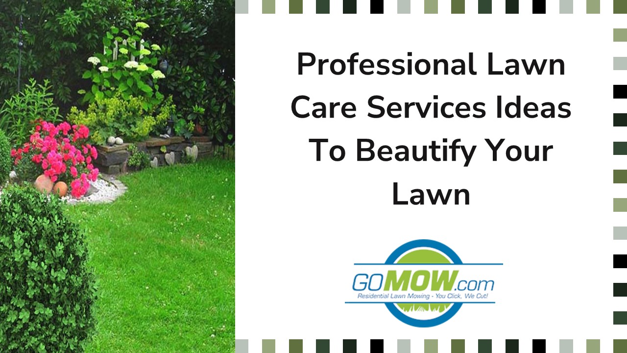 Professional Lawn Care Services Ideas To Beautify Your Lawn