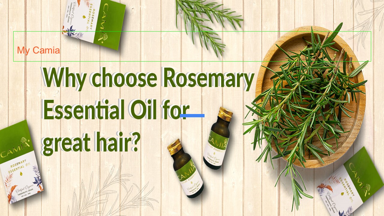 WHY CHOOSE ROSEMARY ESSENTIAL OIL FOR GREAT HAIR?