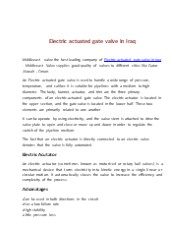 Electric actuated gate valve in Iraq