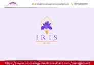 Business Consulting Services in UAE