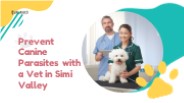 Prevent Canine Parasites with a Vet in Simi Valley