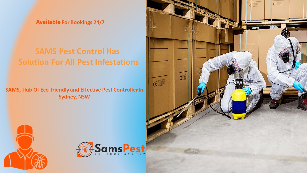 SAMS Pest Control Sydney (3)