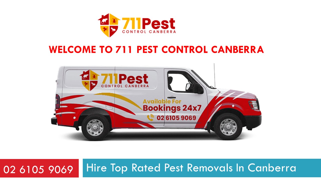 PPT 711 Pest Control Canberra PowerPoint presentation free to