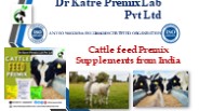 Cattle feed Premix Supplements from India