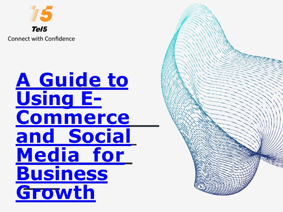 A Guide to Using E-Commerce and Social Media for Business Growth ...