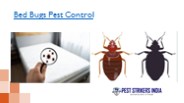 Bed Bugs Pest Control | Pest Strikers