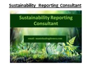 Sustainability Reporting Consultant
