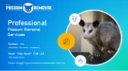 711 Possum Removal Adelaide