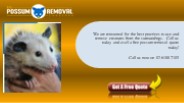 711 Possum Removal Canberra