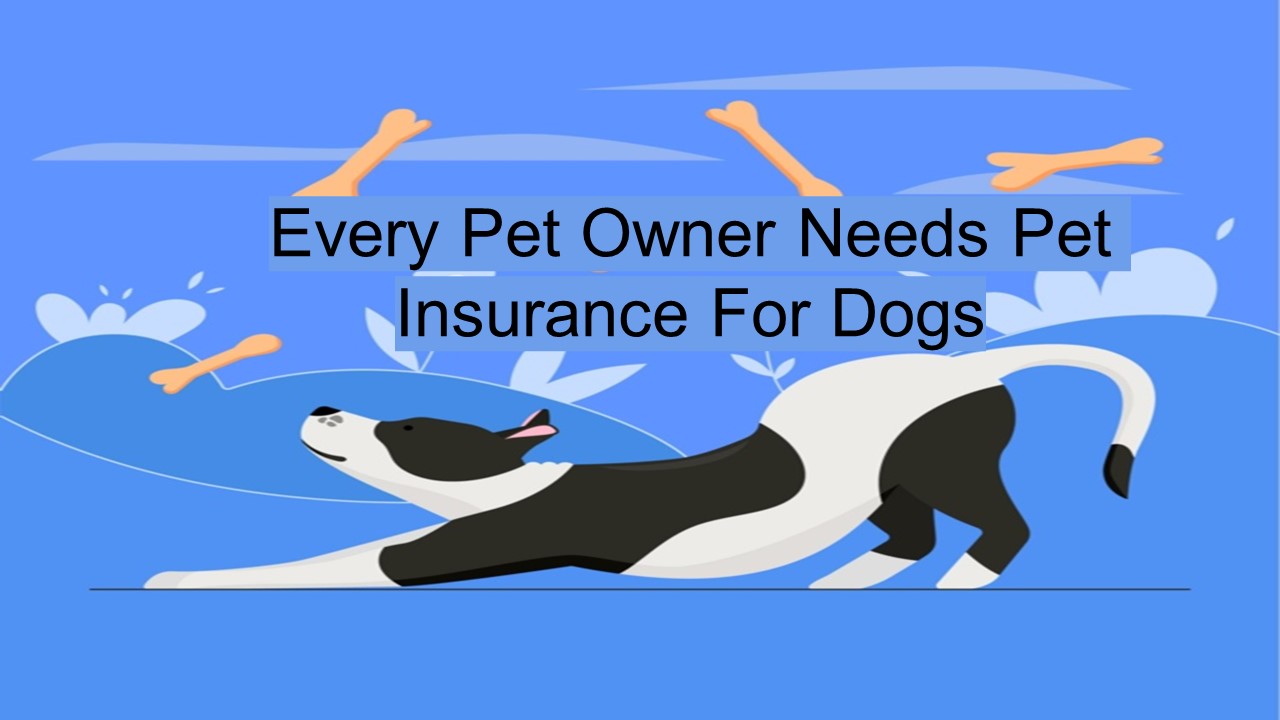 PPT Every Pet Owner Needs Pet Insurance For Dogs PowerPoint