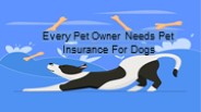 Every Pet Owner Needs Pet Insurance For Dogs