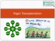 transplant Organization - Transplant India