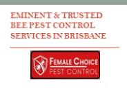 Affordable Bee Pest Control Services Brisbane