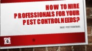 How To Hire Professionals For Your Pest Control