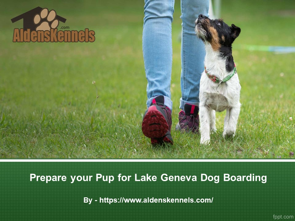 PPT Prepare your Pup for Lake Geneva Dog Boarding PowerPoint