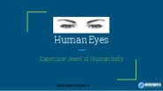 Importance of Human Eyes