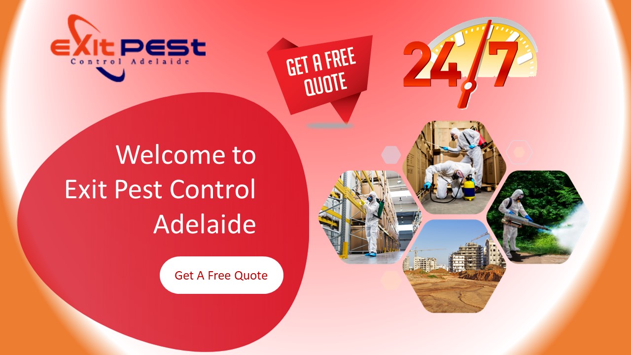 Exit Pest Control Adelaide