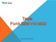 Tesla Punk 86W VW MOD