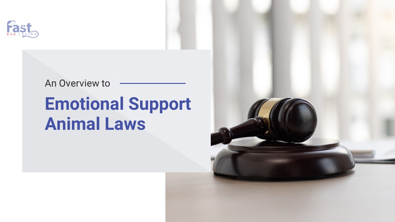 PPT An Overview to ESA Laws PowerPoint presentation free to