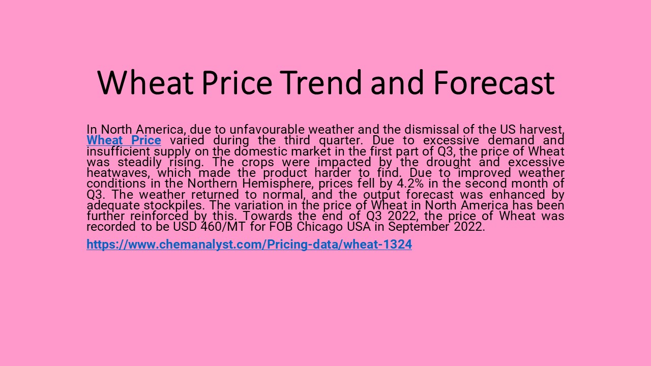 Wheat Price Trend and Forecast