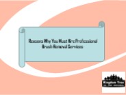 Reasons Why You Must Hire Professional Brush Removal Services