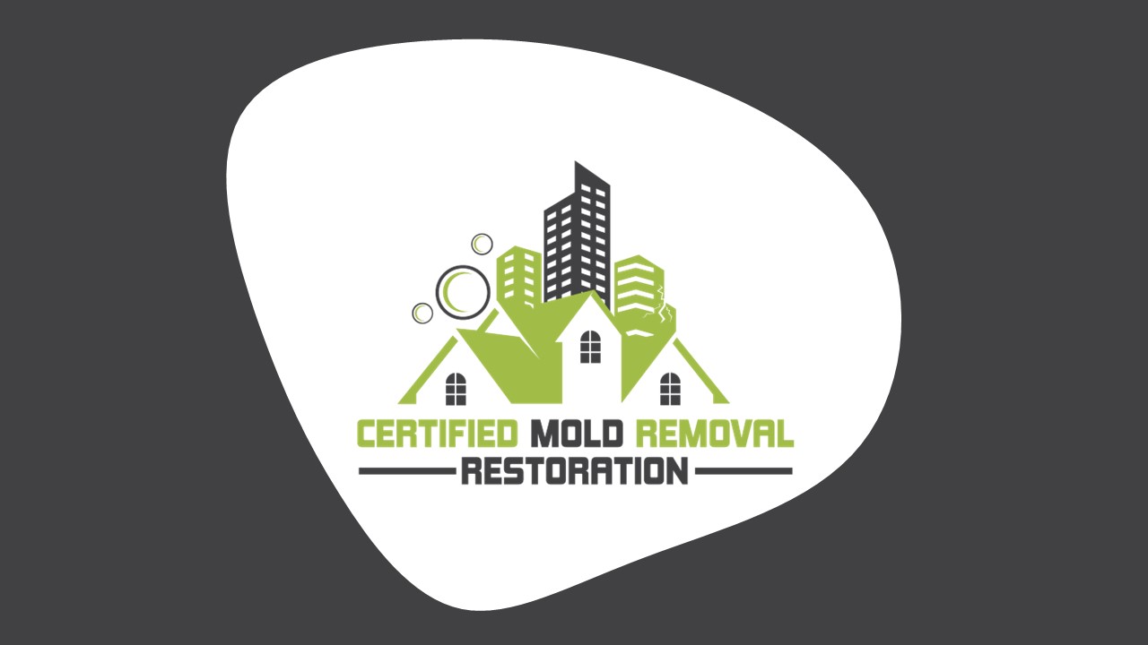 Mold Inspection And Removal