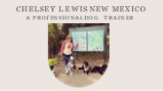 Chelsey Lewis New Mexico - A Professional Dog Trainer