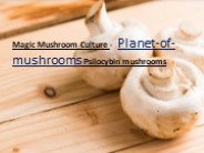 Magic Mushroom Culture
