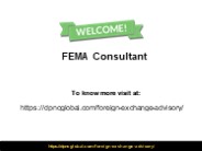 FEMA Consultant