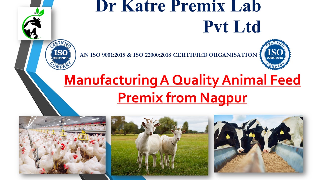 PPT Manufacturing A Quality Animal Feed Premix from Nagpur PowerPoint