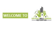 Expert Mold Removal for Residential and Commercial