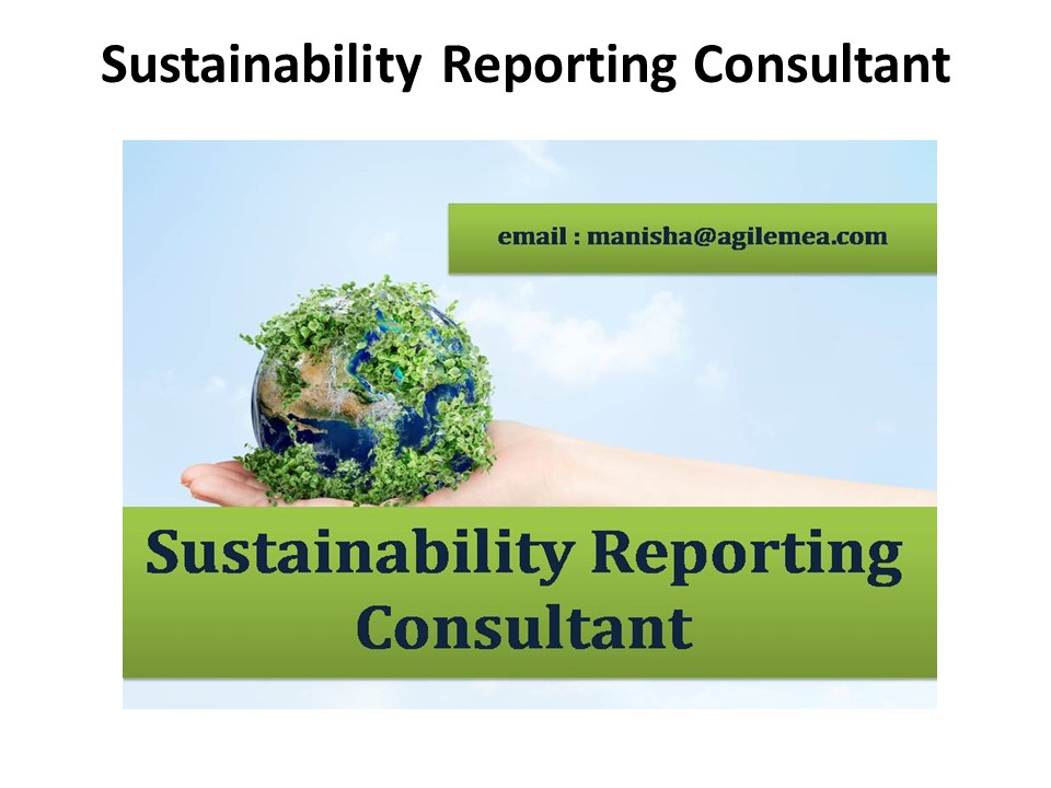 Sustainability Reporting Consultant (1)