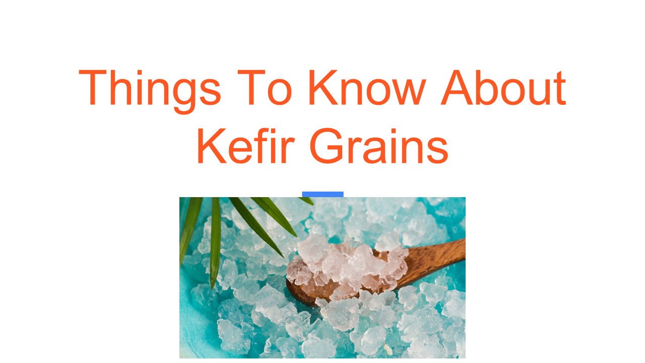 Things To Know About Kefir Grains