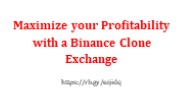 Maximize your Profitability with a Binance Clone Exchange