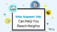 Online Assignment Help: Can Help You  Reach Heights
